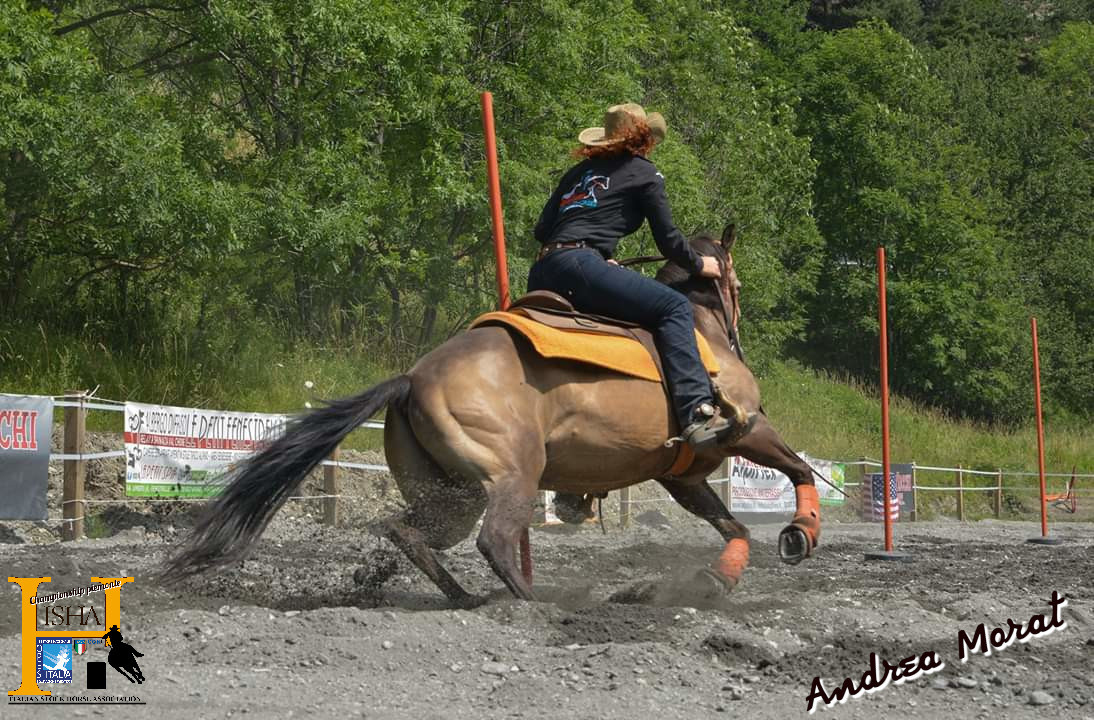 GIMKANA PIEMONTE 21 LUGLIO EQUI FINIS - ISHA - Italian Stock Horse  Association