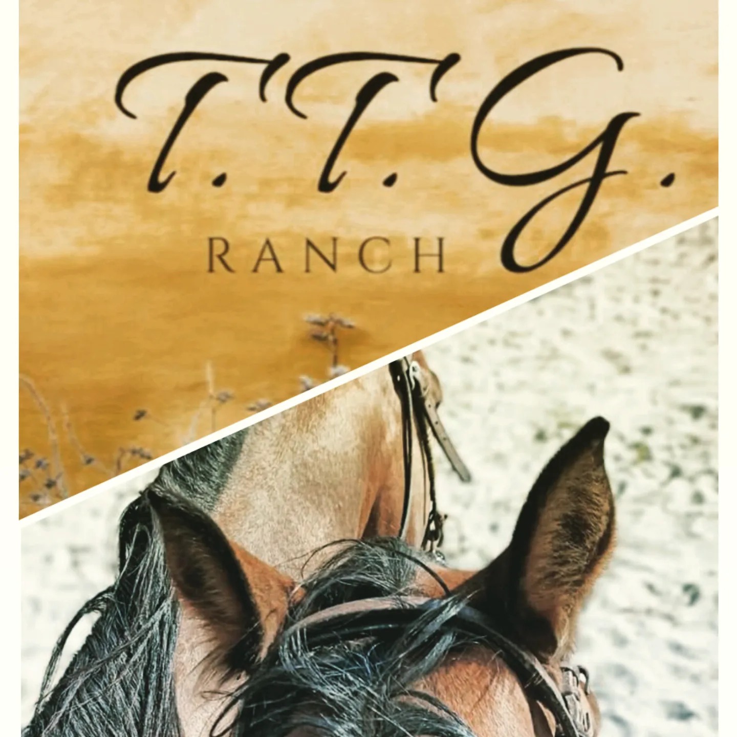 TTG RANCH